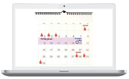 Fertility calendar