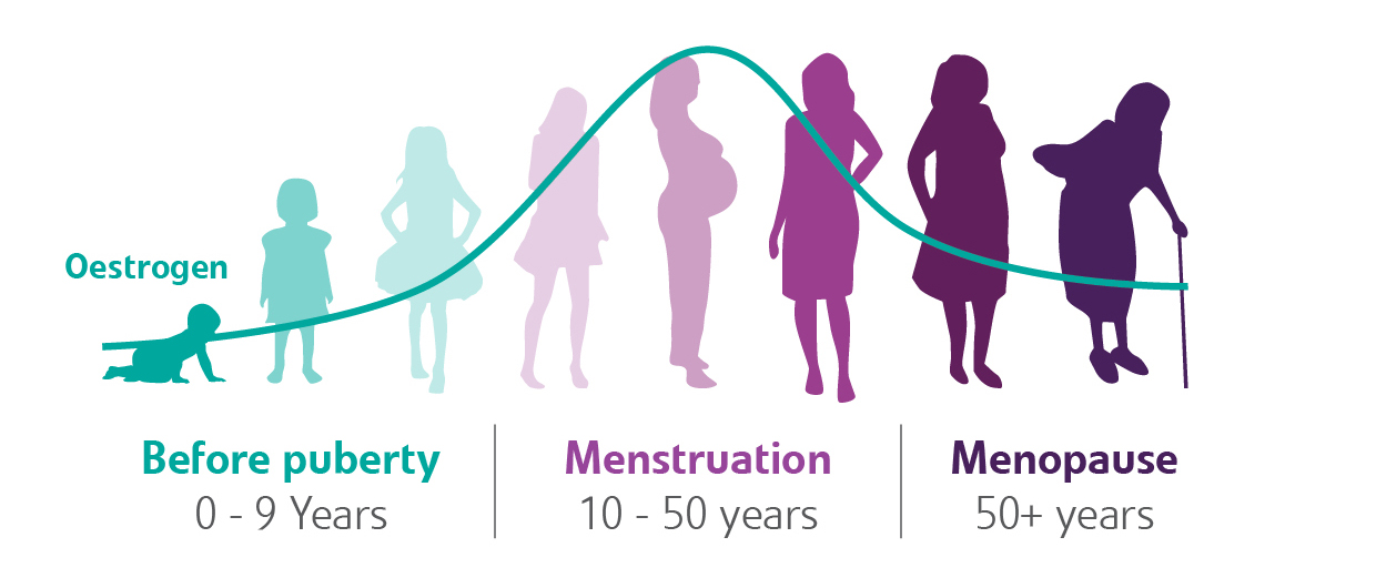 Know Your Health Menopause Family Planning NSW
